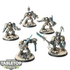 Grey Knights - 5 Grey Knights Terminator Squad - bemalt