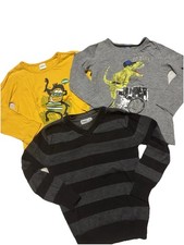 Langarmshirts Pullover Set