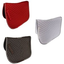 USG Warmblut Dressur