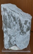 Edelstein / Mineralien