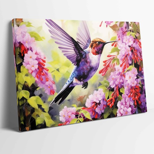 Ein kolibri auf lila blumen - ein,