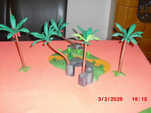 Playmobil x palmen - ,
