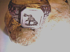 schwerer-Hunde-Siegel-Trachten