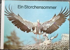 Ein Storchensommer - 1977 - 1