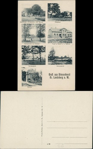 Briesenhorst wąbrzeźno - briesenhorst,
