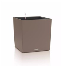 Lechuza CUBE Color 40, muskat