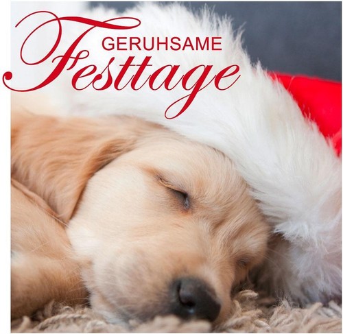 Minikarte schlafender hund - minikarte,