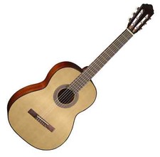 Cort AC100 OP 4/4 Einsteiger