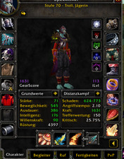 WOW Anniversary TBC Acc /