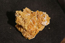 klasse kleine Wulfenit STufe, Grube Stefanie Bad Bleiberg Österreich # 900