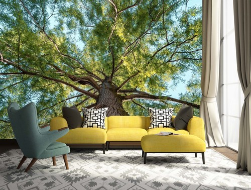Grün baum q9039 tapete - q9039,