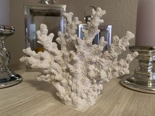 Koralle Weiß Maritime Dekoration Sylt Sansibar Schmuckhalter Aquarium 20cm NP29€