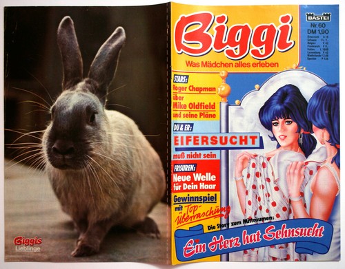 Biggi comic heft - heft, 60