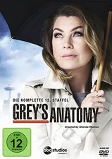 Grey's Anatomy: Die jungen Ärzte - Die komplette 12. Staffel [6 Discs]