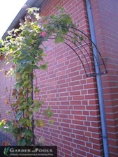 Wandrosenbogen SEVILLA B 150