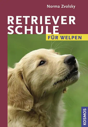 Retrieverschule für welpen - retrieverschule,