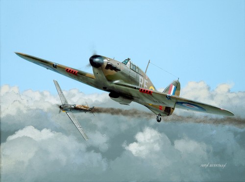 303 polnisches sqn - 303,