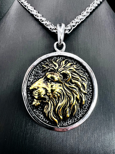 Löwe tier könig - löwe,