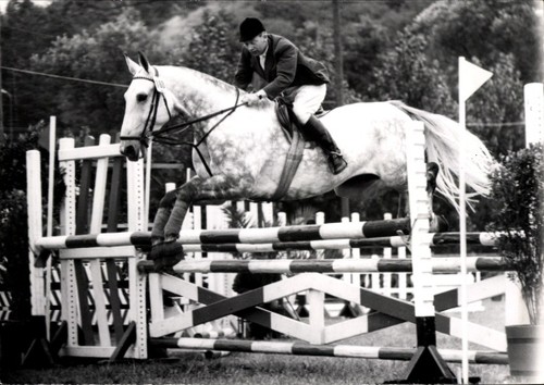 Foto springreiten sprung - foto,