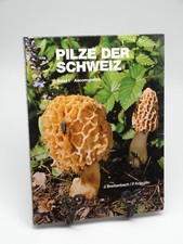 Pilze Der Schweiz. Band 1: Ascomyceten. Breitenbach Mykologie Schlauchpilze