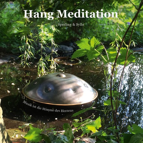 Hang handpan violine - hang/handpan, violine,