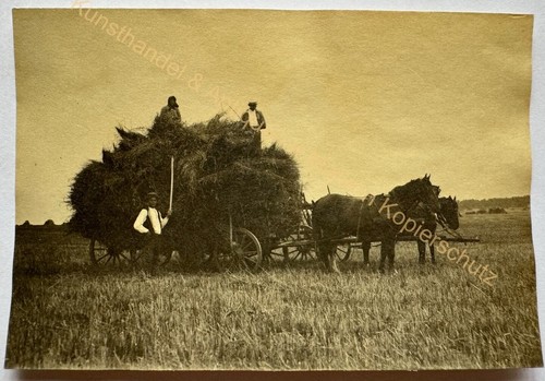 Orig foto rewahl pommern - orig.,