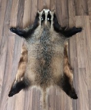 Echtes Dachsfell (sehr guter