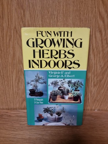 Fun with growing herbs indoors - growing,