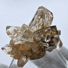 Phantom Rauchquarz DT Zepter Stufe Goboboseb, Namibia 23*21*25mm