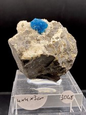 Cavansit Poona Indien