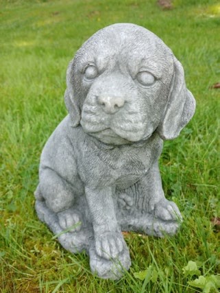 Beagle welpe - beagle,