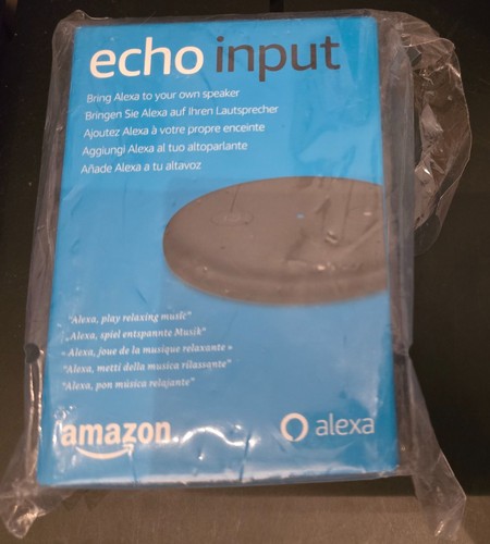 Amazon echo input alexa - input,