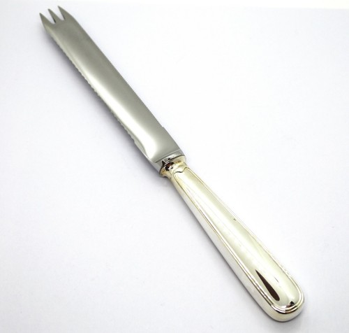 Zitronenmesser aus 925er - zitronenmesser,