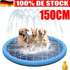 Hunde Hundepool Swimmingpool