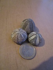 Drei kleine versteinerte