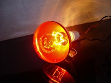 250W E27 Infrarot Lampe Rotlicht Birne Wärmelampe Heizlampe