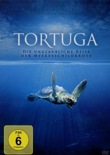Tortuga dvd steelbook - tortuga,