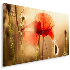 CANVAS Leinwand Bilder XXL