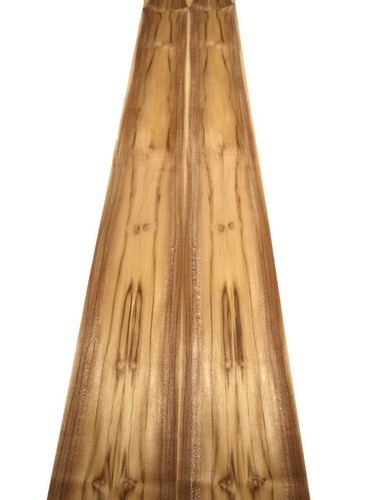 Teak furnier teakholz wild - teak,