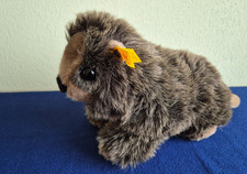 Steiff GROßER Biber PADDY