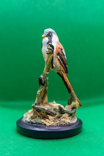 Unsere schöne vogelwelt - unsere,