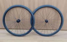 Bontrager paradigm - bontrager,