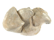 Kreide Schaustufe mit 3x