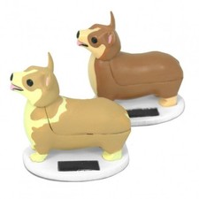 Elroy Solar Corgi Hund