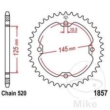 45487-Corona plato