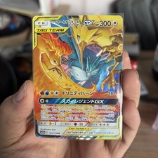 Pokémon Lavados Zapdos Arktos