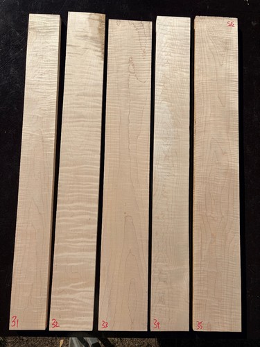 Curly maple bassgitarrenhals - maple,