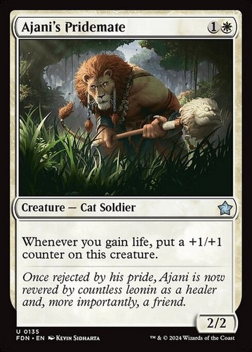 Ajani pridemate - ajani's,