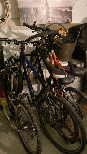 Fahrräder unisex - 3,