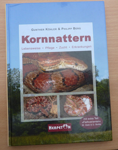 Kornnattern gunther köhler - kornnattern,